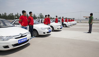 驾驶汽车收费多少元