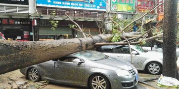 珠海现有汽车多少辆