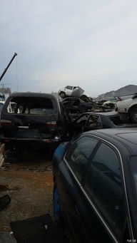 大连汽车报废补偿多少