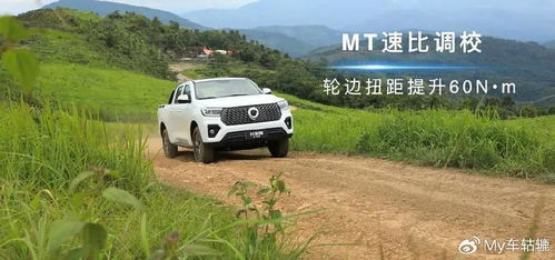 高原汽车扭矩多少合适