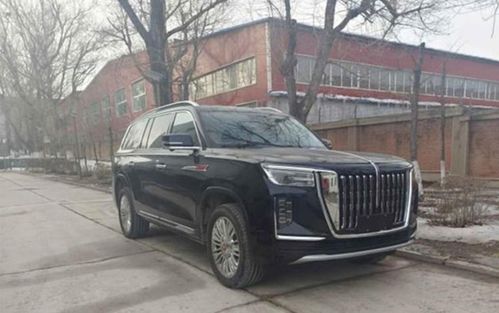 红旗汽车巴西粉丝多少