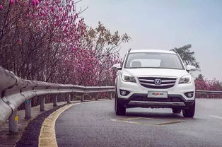 长安汽车金融罚息多少