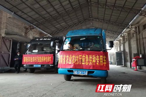 湖南临湘有多少汽车