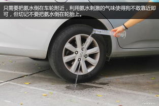 汽车尿桶多少升水啊