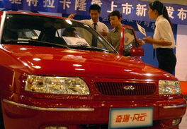 中国有多少汽车专家