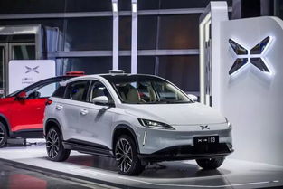 郑口汽车代价多少