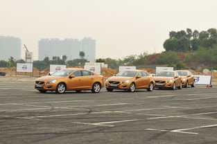 汽车蛇形绕桩间距多少