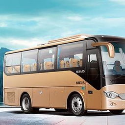 安凯汽车亏损多少