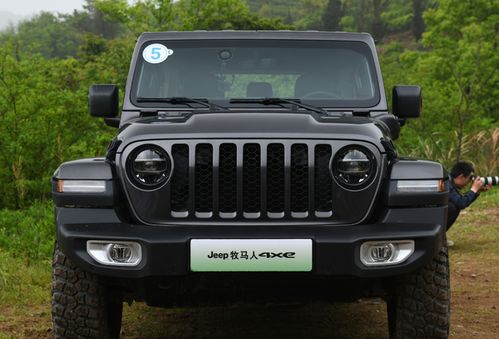 如何看汽车耗油多少