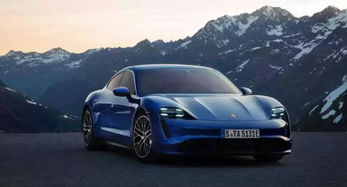 特斯拉汽车电瓶多少a