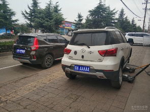 汽车遮光多少钱