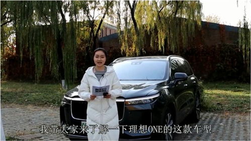 理想汽车有多少油车