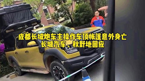 汽车意外死亡赔多少