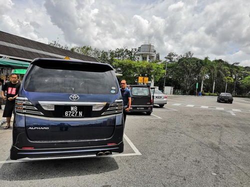 中国组装多少进口汽车
