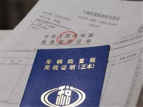 汽车能报多少税