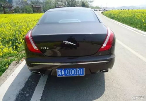 迪拜国王有多少汽车