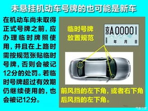 汽车违章分多少类