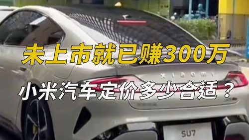 小米汽车大概定价多少