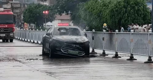 比亚迪自燃汽车数量多少