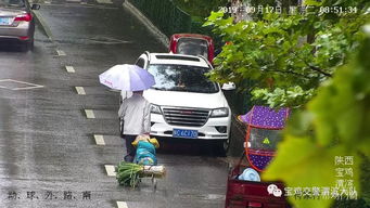 法国汽车停车罚款多少