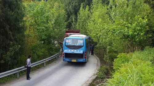 阆中汽车多少钱