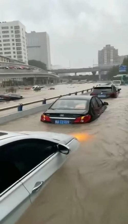 河南水灾汽车有多少