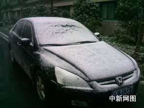 汽车雪中有多少种