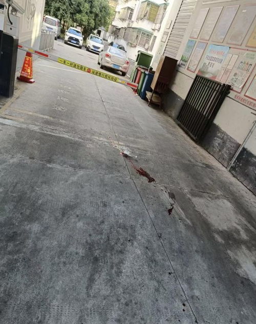 汽车小区碾压赔偿多少
