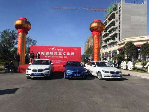 舞阳汽车多少钱