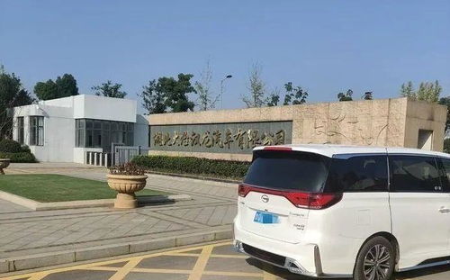 旷世汽车电话多少