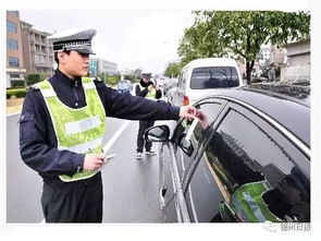 汽车停车被罚款多少