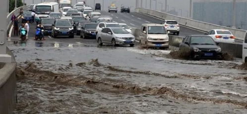广东暴雨损失多少汽车