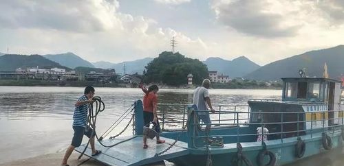 舟山轮渡汽车需要多少