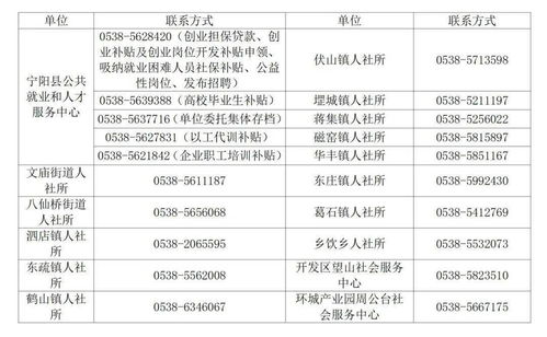 宁阳政府汽车补贴多少