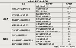 汽车购买比例是多少