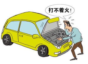 汽车店保多少回扣