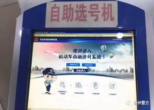 汽车选号有多少组
