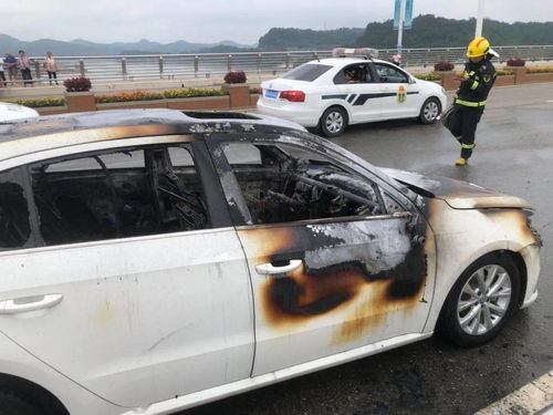 仪陇汽车脱困补贴多少