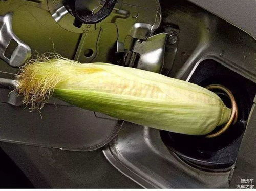 乙醇汽车含量多少合适
