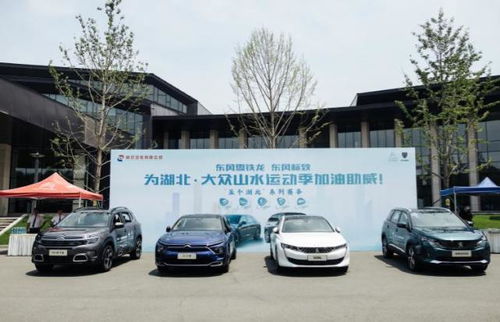 神龙汽车湖北优惠多少