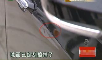 汽车砸坏索赔多少合适