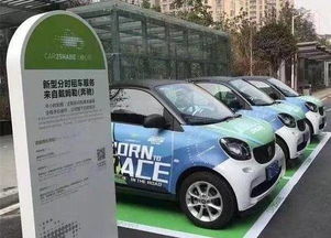 滴滴共享汽车有多少