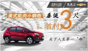 汽车星享首付多少