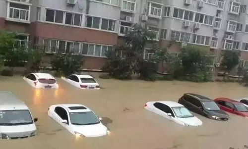 郑州汽车淹了多少辆