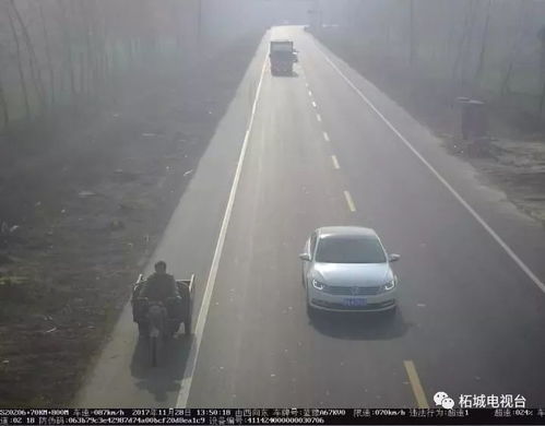 乡村道路限速多少汽车 乡村道路限速多少汽车