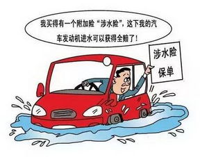 汽车涉水险涨价多少