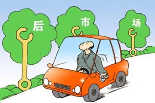 汽车占本人资产多少