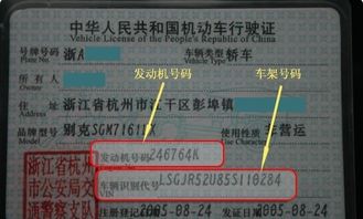 汽车识别编码是多少