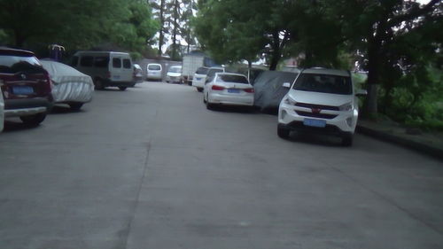 吴村有多少汽车