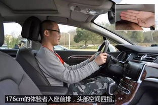 汽车用多少张牛皮